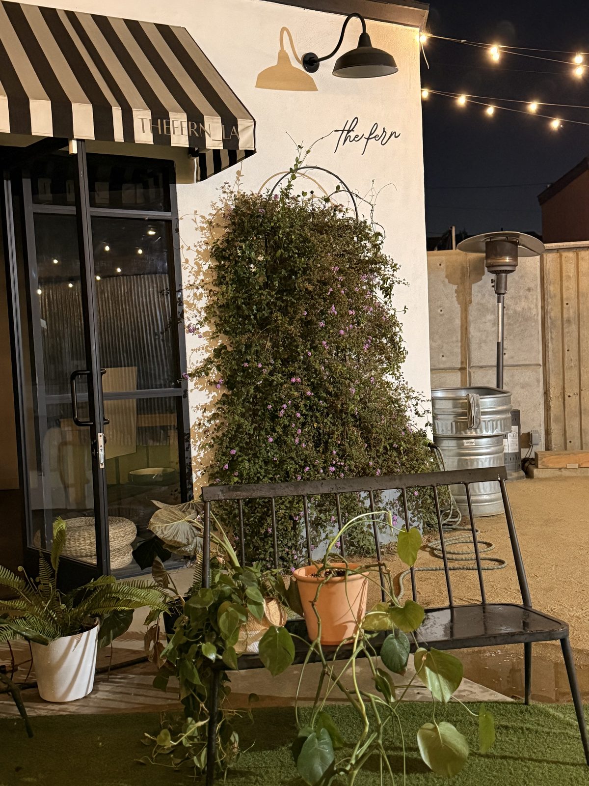 The Fern at night, with its striped awning, string lights and a wall of flowering vine